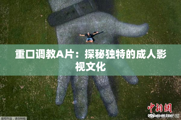 重口调教A片：探秘独特的成人影视文化