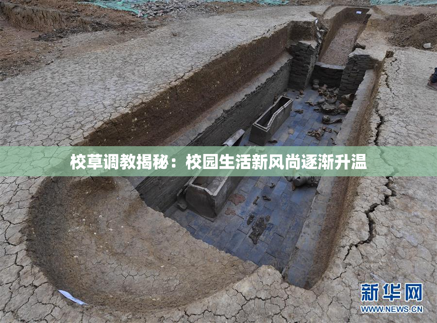 校草调教揭秘：校园生活新风尚逐渐升温