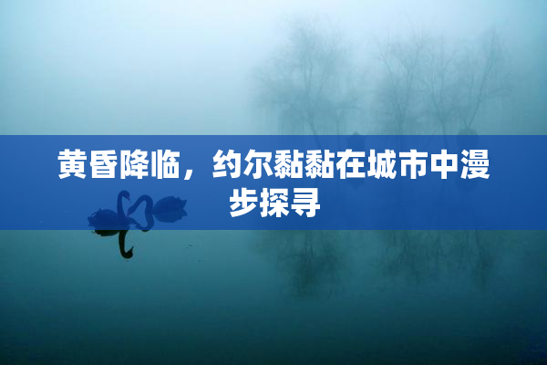 黄昏降临，约尔黏黏在城市中漫步探寻