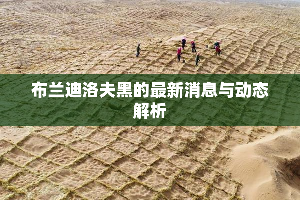 布兰迪洛夫黑的最新消息与动态解析