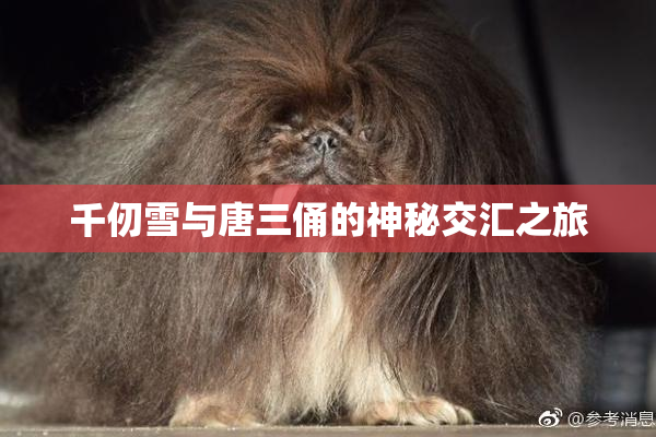 千仞雪与唐三俑的神秘交汇之旅
