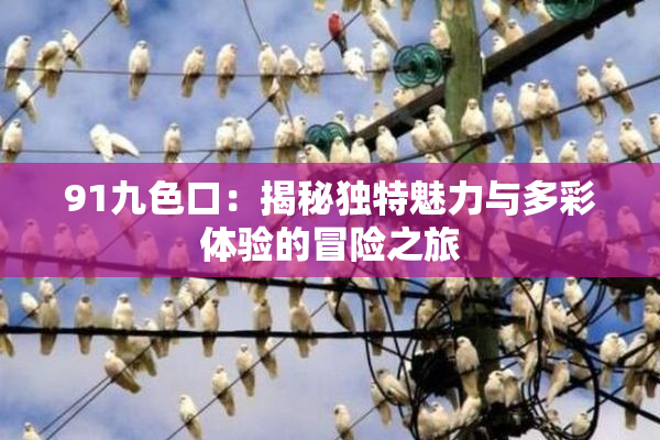 91九色口：揭秘独特魅力与多彩体验的冒险之旅