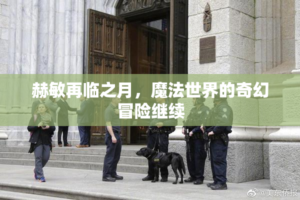 赫敏再临之月，魔法世界的奇幻冒险继续