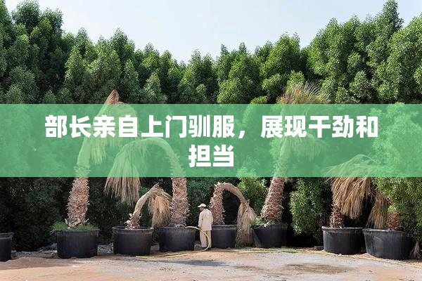 部长亲自上门驯服，展现干劲和担当