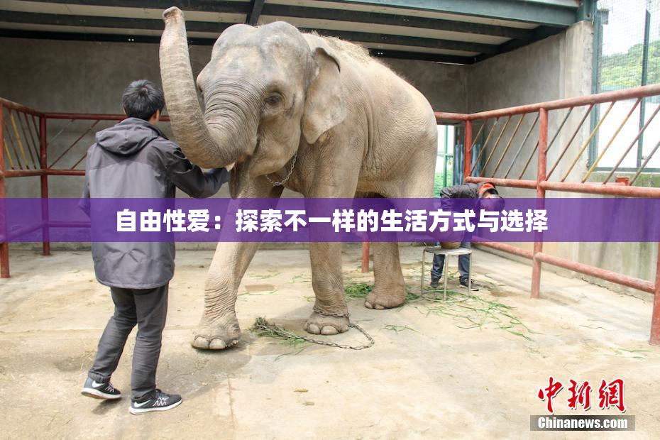 自由性爱：探索不一样的生活方式与选择