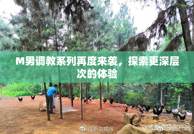 M男调教系列再度来袭，探索更深层次的体验