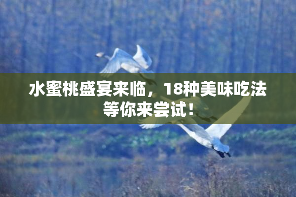水蜜桃盛宴来临，18种美味吃法等你来尝试！