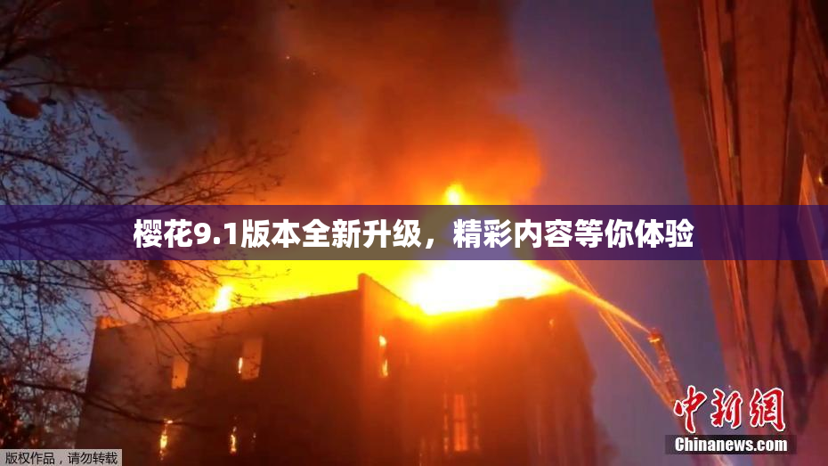 樱花9.1版本全新升级，精彩内容等你体验