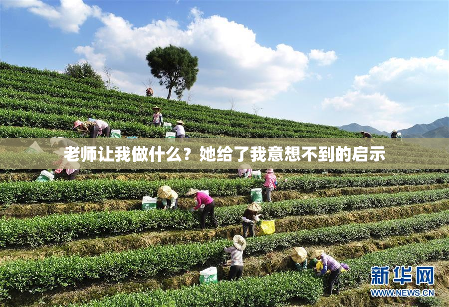老师让我做什么？她给了我意想不到的启示