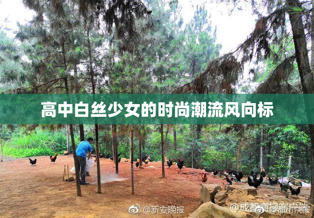 高中白丝少女的时尚潮流风向标