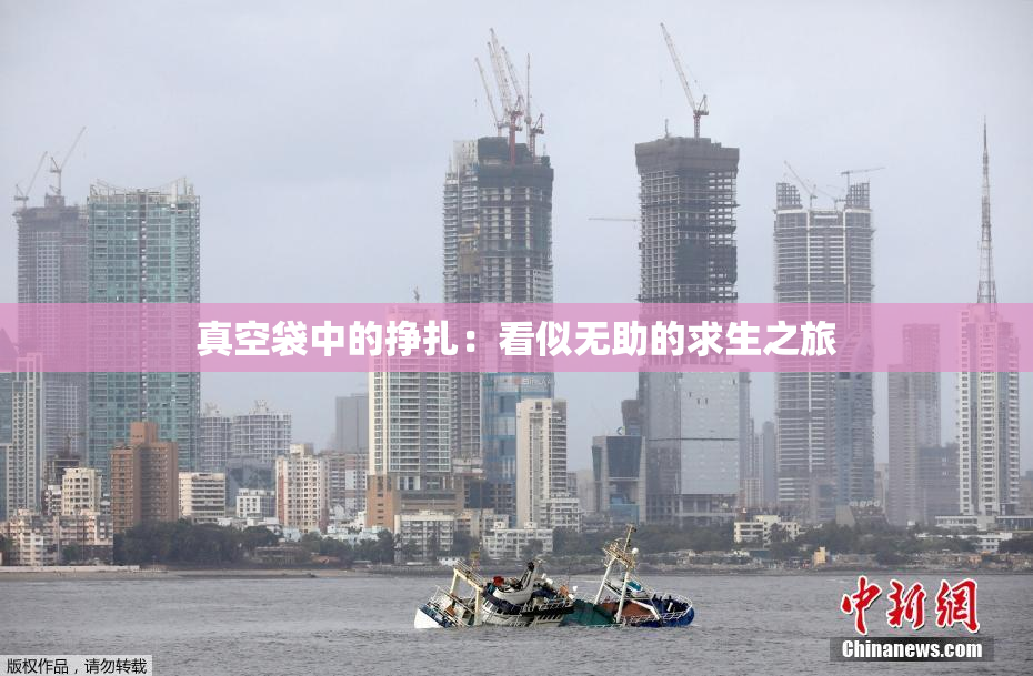 真空袋中的挣扎：看似无助的求生之旅