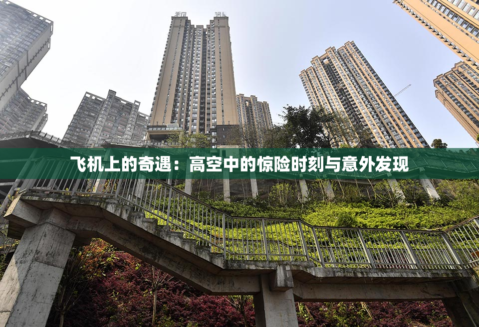 飞机上的奇遇：高空中的惊险时刻与意外发现