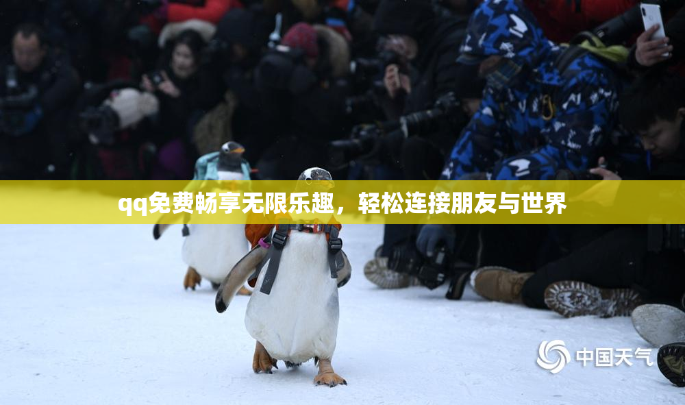 qq免费畅享无限乐趣，轻松连接朋友与世界