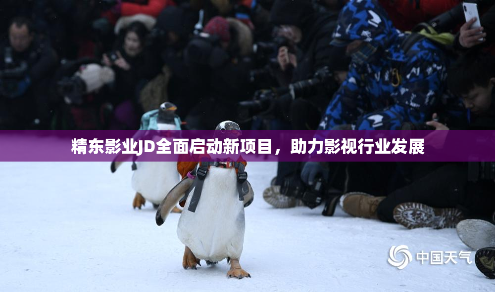 精东影业JD全面启动新项目，助力影视行业发展