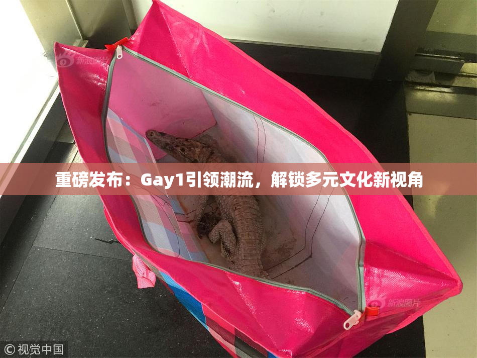 重磅发布：Gay1引领潮流，解锁多元文化新视角