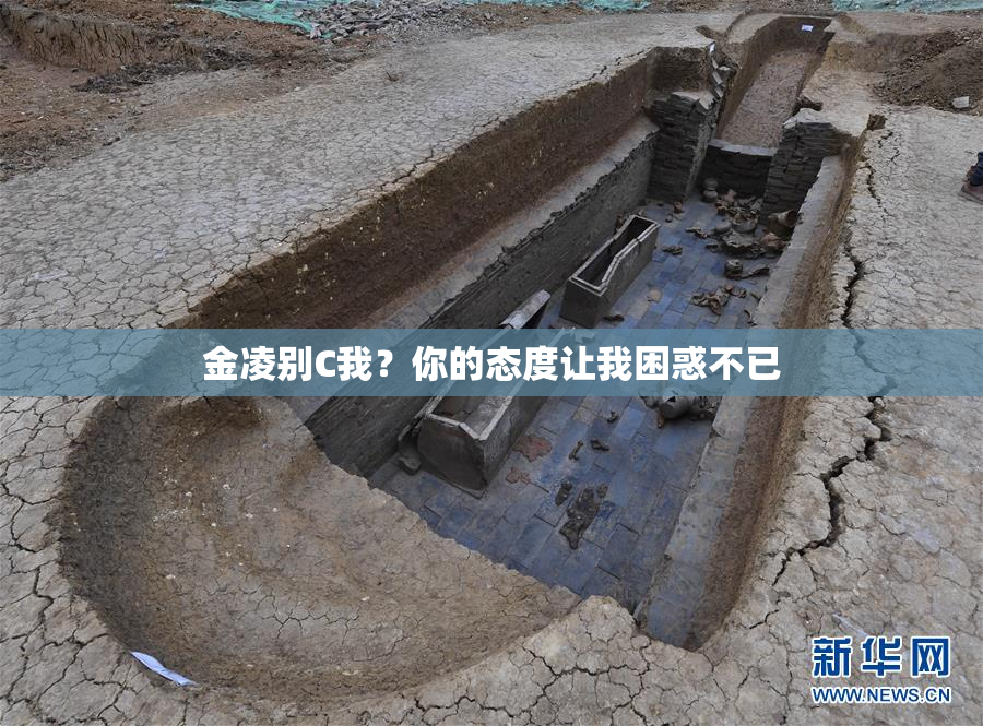金凌别C我？你的态度让我困惑不已