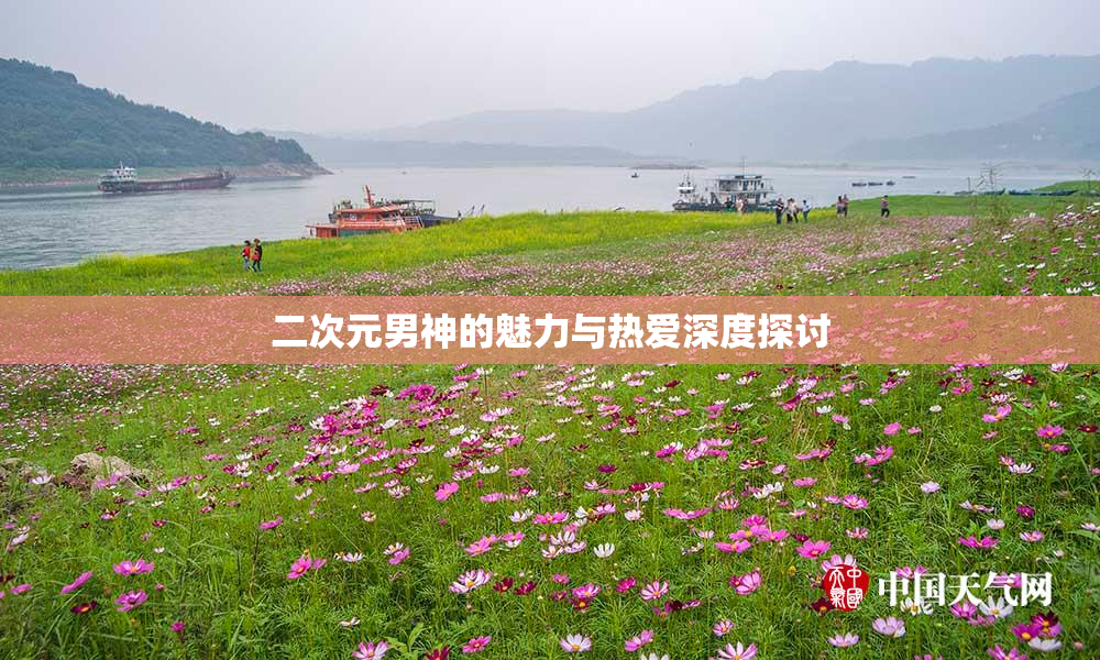 二次元男神的魅力与热爱深度探讨