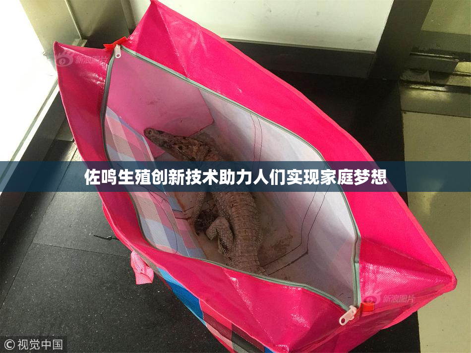 佐鸣生殖创新技术助力人们实现家庭梦想