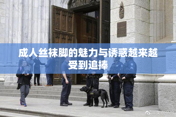 成人丝袜脚的魅力与诱惑越来越受到追捧