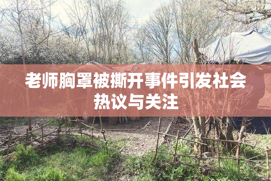 老师胸罩被撕开事件引发社会热议与关注