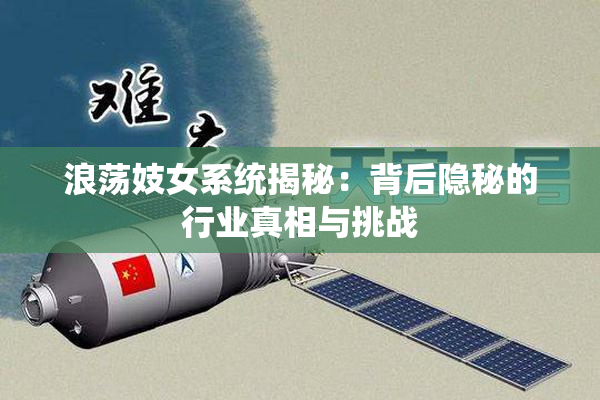 浪荡妓女系统揭秘：背后隐秘的行业真相与挑战