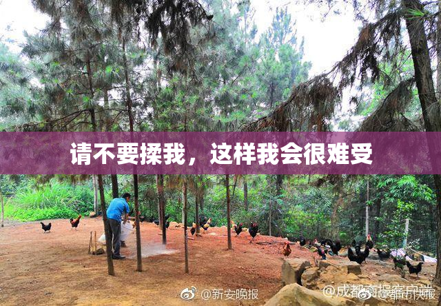 请不要揉我，这样我会很难受