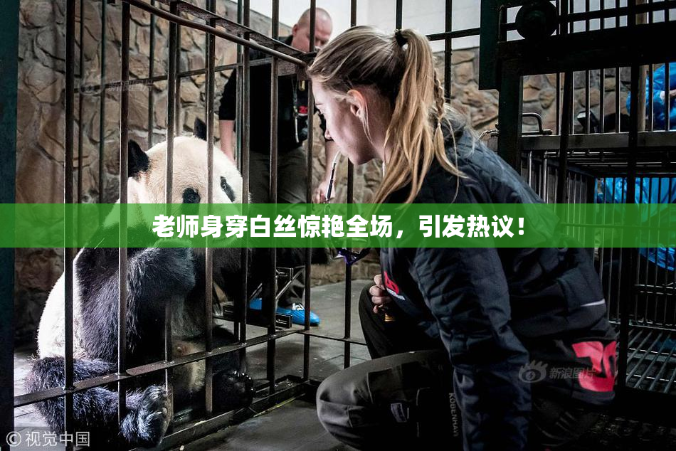 老师身穿白丝惊艳全场，引发热议！