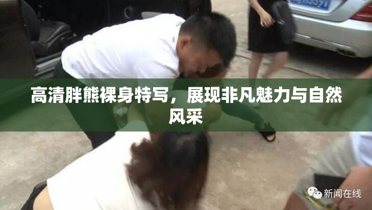 高清胖熊裸身特写，展现非凡魅力与自然风采