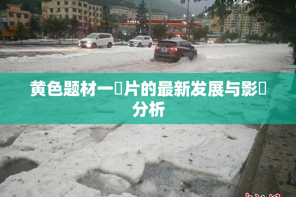 黄色题材一級片的最新发展与影響分析