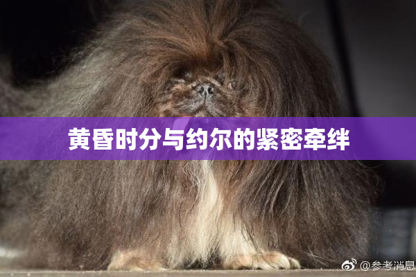 黄昏时分与约尔的紧密牵绊