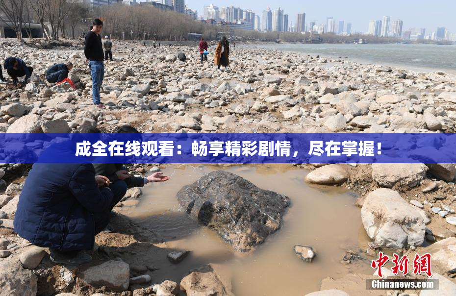成全在线观看：畅享精彩剧情，尽在掌握！