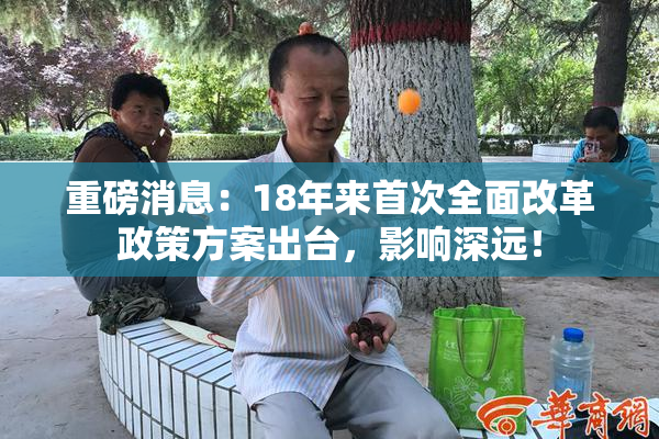 重磅消息：18年来首次全面改革政策方案出台，影响深远！