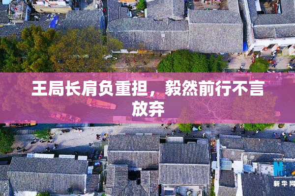 王局长肩负重担，毅然前行不言放弃