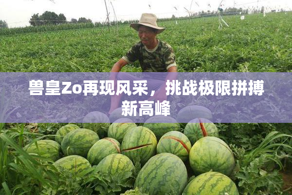 兽皇Zo再现风采，挑战极限拼搏新高峰
