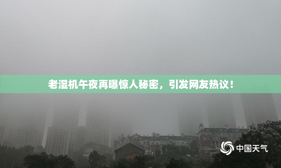 老湿机午夜再曝惊人秘密，引发网友热议！