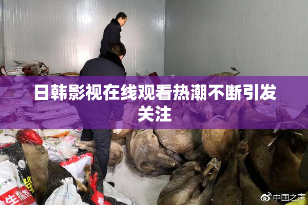 日韩影视在线观看热潮不断引发关注
