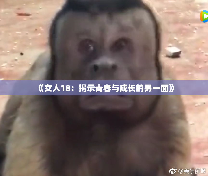 《女人18：揭示青春与成长的另一面》