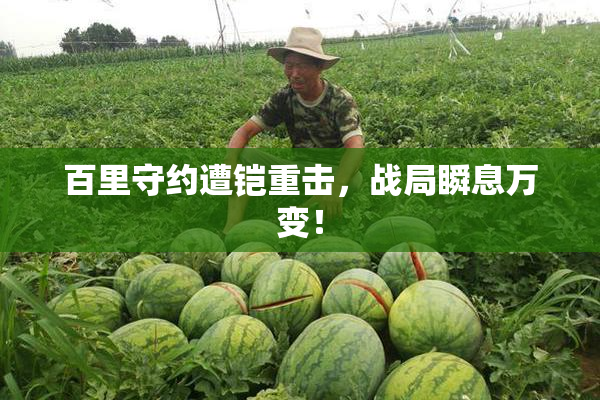 百里守约遭铠重击，战局瞬息万变！