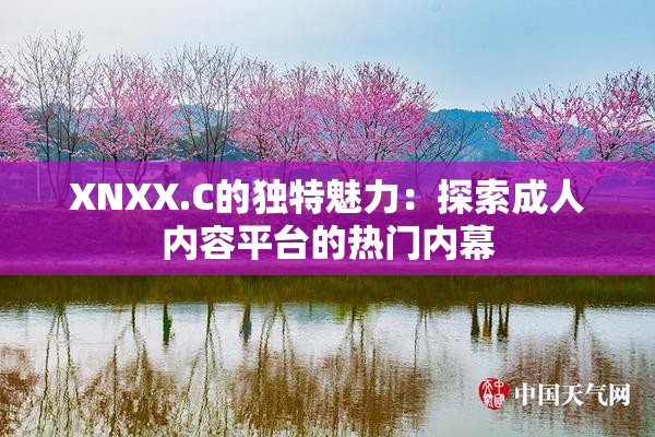 XNXX.C的独特魅力：探索成人内容平台的热门内幕
