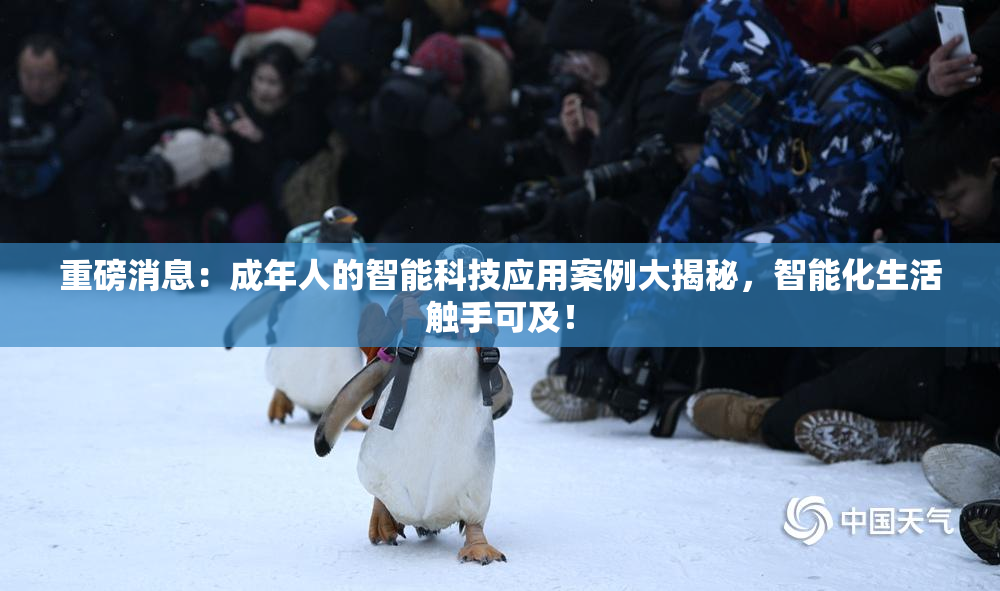 重磅消息：成年人的智能科技应用案例大揭秘，智能化生活触手可及！