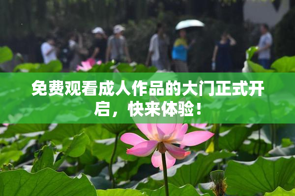 免费观看成人作品的大门正式开启，快来体验！
