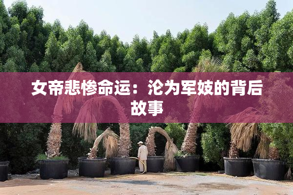 女帝悲惨命运：沦为军妓的背后故事