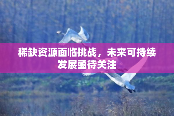 稀缺资源面临挑战，未来可持续发展亟待关注