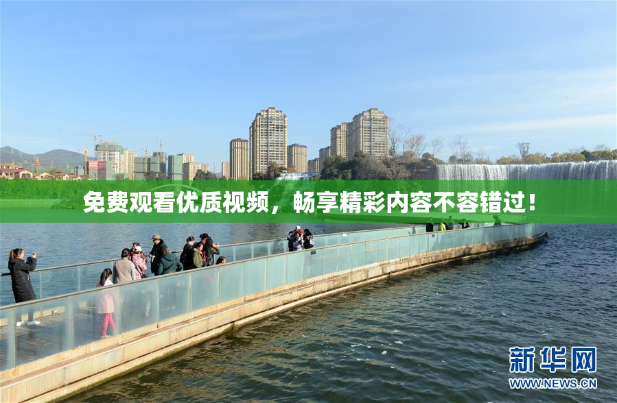 免费观看优质视频，畅享精彩内容不容错过！