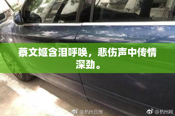 蔡文姬含泪呼唤，悲伤声中传情深劲。