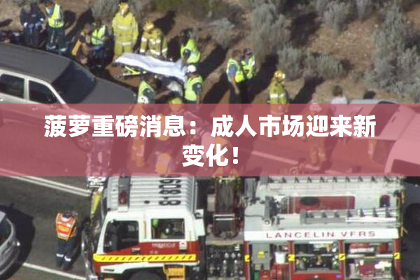 菠萝重磅消息：成人市场迎来新变化！