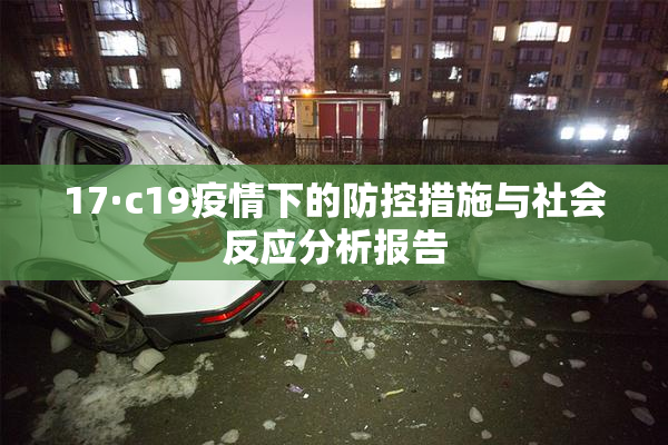 17·c19疫情下的防控措施与社会反应分析报告
