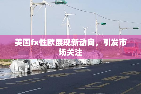 美国fx性欧展现新动向，引发市场关注