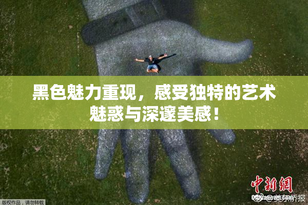 黑色魅力重现，感受独特的艺术魅惑与深邃美感！
