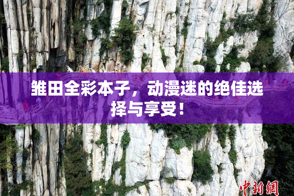 雏田全彩本子，动漫迷的绝佳选择与享受！